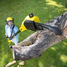 Best Lawn Watering Services  in Braselton, GA