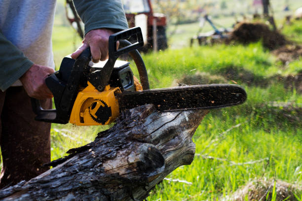 Best Lawn Pest Prevention  in Braselton, GA